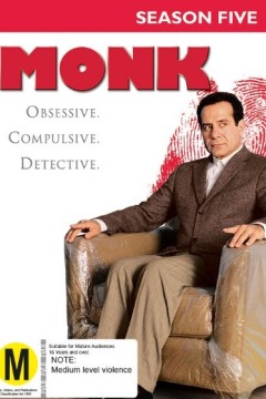 神探阿蒙第五季