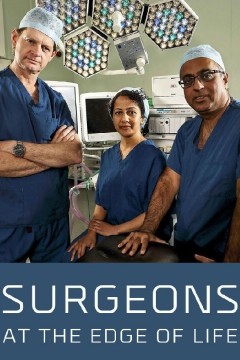 外科医生：生命边缘第六季