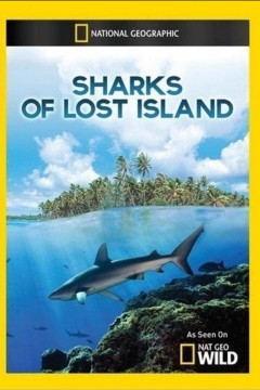 Sharks of Lost Island 2013