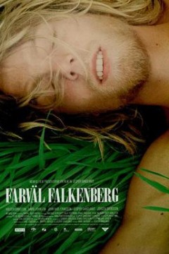 再见，福肯伯格