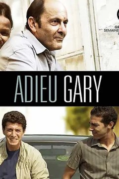 再见加莱古柏2009