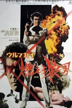 wolf guy 燃烧吧狼人