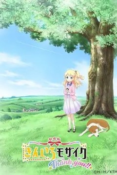 黄金拼图 Thank you!!