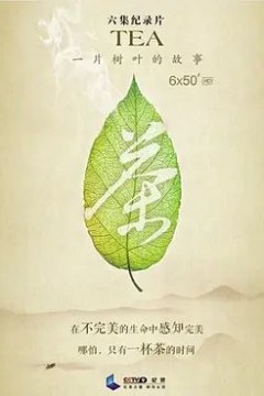 茶，一片树叶的故事