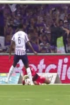 法甲 图卢兹vs巴黎圣日耳曼 (鹿中原、刘晶捷) 20230819