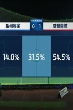 中超联赛 梅州客家VS成都蓉城 20240517