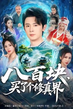 八百块，买了个修真界