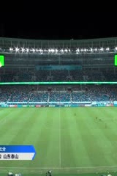 中超联赛 深圳新鹏城VS山东泰山 20250816