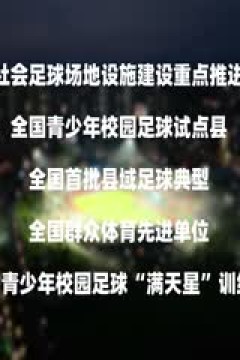 中国传承足球明星联赛 陕西佳鑫伟业足球队VS深圳传承明星足球队 20241108