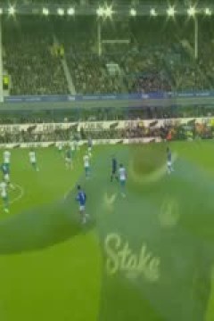 英超联赛 埃弗顿VS纽卡斯尔联 20241006