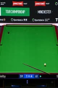 斯诺克巡回锦标赛12进8马克·塞尔比10-6斯佳辉(第二阶段)20250402