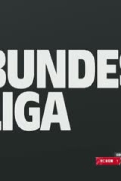 德甲 拜仁慕尼黑vs霍芬海姆 (胡小凡、张力) 20230415