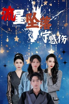 流星坠落宁感伤