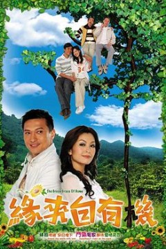 缘来自有机国语