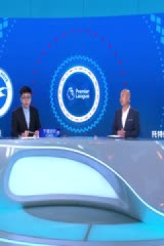 英超联赛 布莱顿VS托特纳姆热刺 20241006