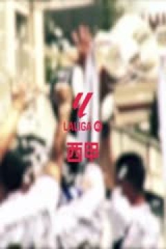 意甲联赛 国际米兰VS佛罗伦萨 20250211