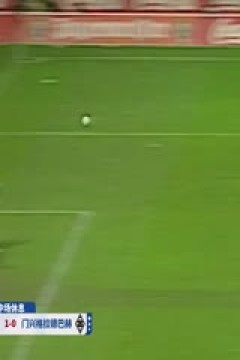 德甲联赛 勒沃库森VS门兴格拉德巴赫 20250119