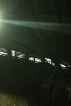 英超联赛 利兹联VS阿斯顿维拉 20251123