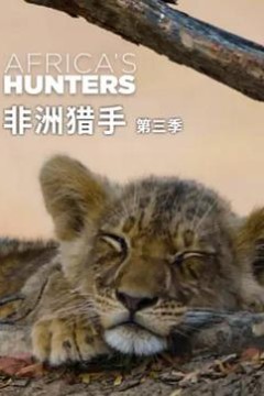非洲猎手们第三季