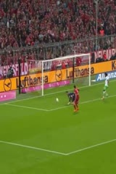 德甲 斯图加特vs奥格斯堡 (刘洪新) 20231220