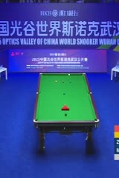 2025斯诺克武汉公开赛32进16斯蒂芬·马奎尔5-4赵心童20250826