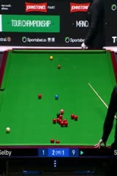 斯诺克巡回锦标赛12进8马克·塞尔比6-2斯佳辉(第一阶段)20250402