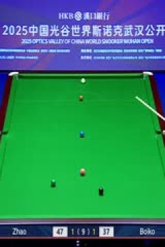 2025斯诺克武汉公开赛延期资格赛及64进32赵心童5-3尤里安·博伊科20250824