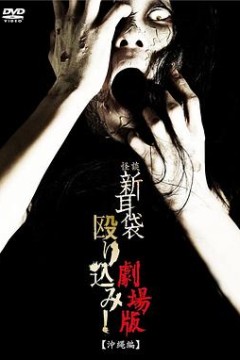 怪谈新耳袋突击！电影版冲绳篇