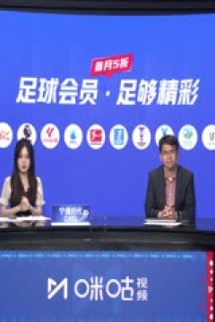 德甲联赛 美因茨VS拜仁慕尼黑 20241214