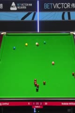 斯诺克威尔士公开赛丁俊晖2-4罗比·威廉姆斯20240213(李照)