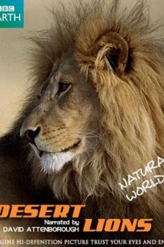 自然世界：沙漠狮