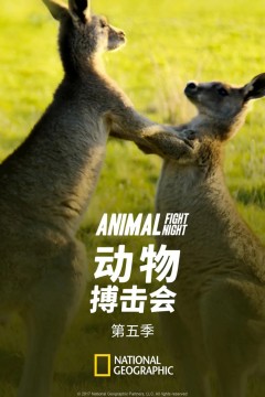 动物搏击会第五季
