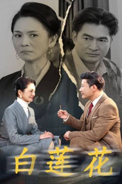 白莲花短剧版