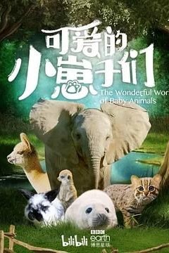 可爱的小崽子们中文版