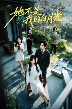 她不是我的白月光