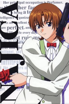 七虹香电击作战