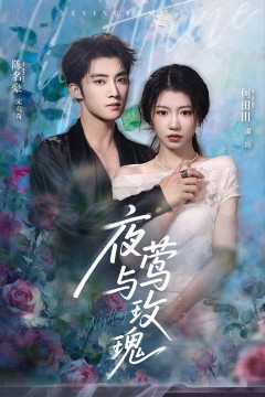 夜莺与玫瑰2025