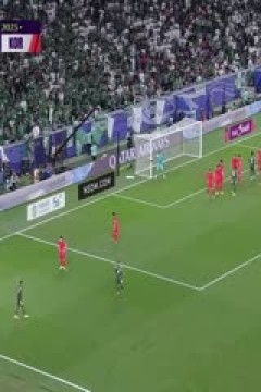 亚洲杯 沙特阿拉伯vs韩国 (詹俊、张路) 20240130