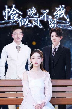 恰似晚风不留我