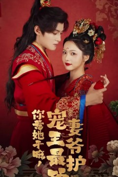 你惹她干嘛，宠妻王爷最护