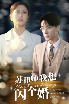 苏律师我想闪个婚