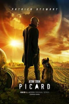 星际迷航：皮卡德