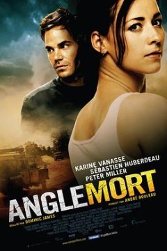 盲点 Angle mort