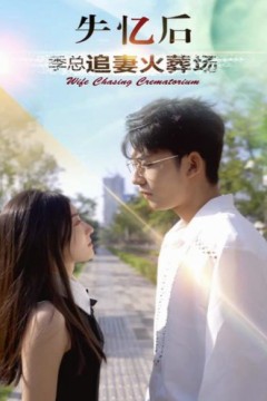 失忆后季总追妻火葬场