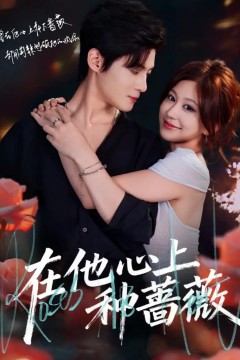 在他心上种蔷薇