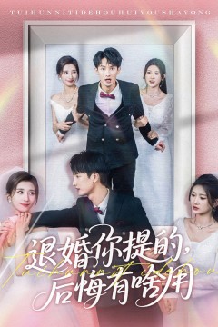 退婚你提的后悔有啥用