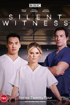 无声的证言第二十四季