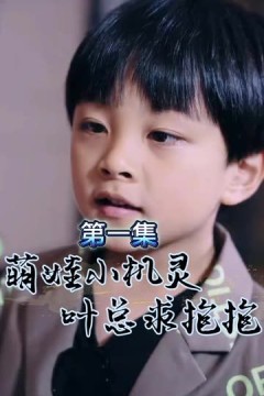 萌宝小机灵，叶总求抱抱