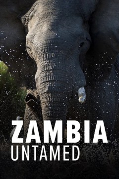 狂野赞比亚第一季