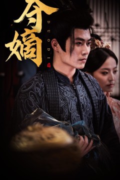 新：双姝(夺嫡)